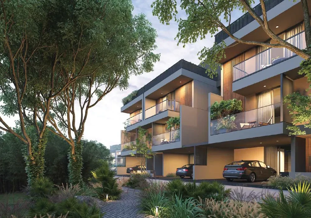 Arvind Forest Trails