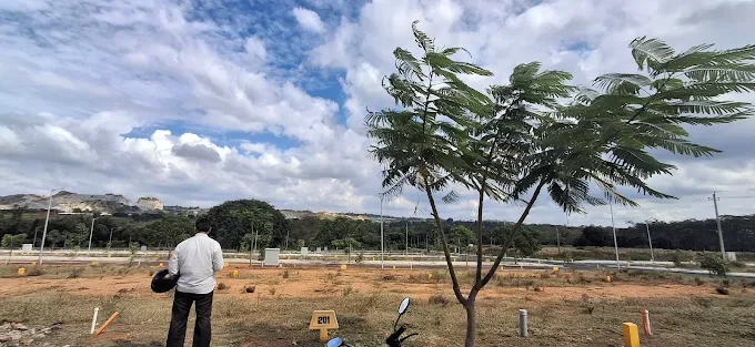 Ashwasurya Atharva Riteway