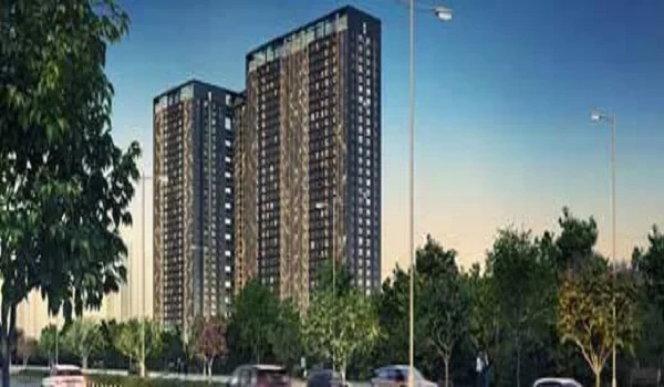 Purva Belmont