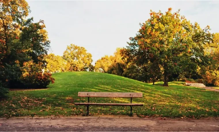 Bhavisha Ars Signature Phase 2