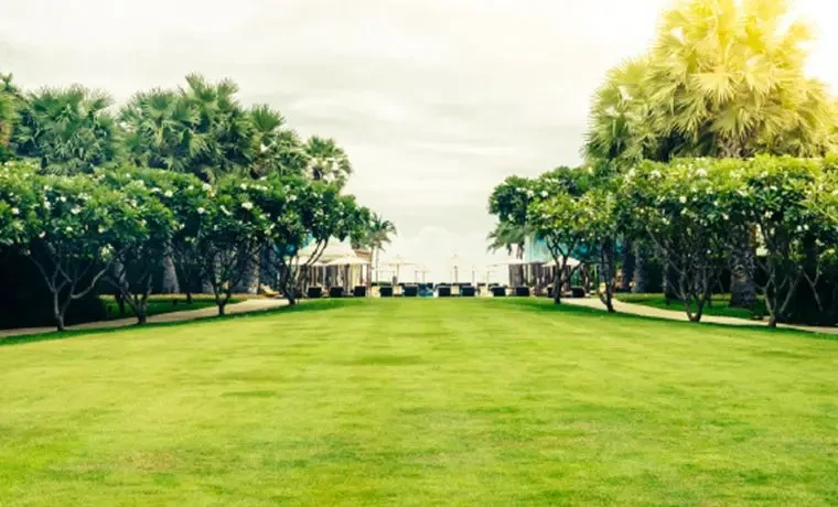 Bhavisha Ars Signature Phase 2