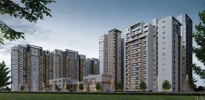 Doshi Risington 2