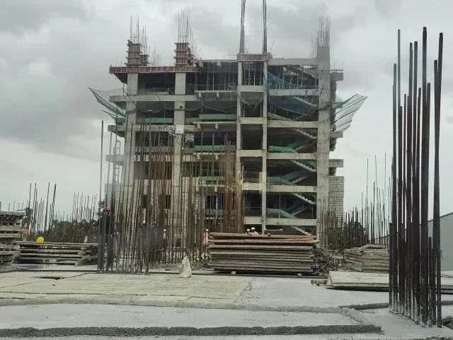 DS MAX Sky Sanjeevini
