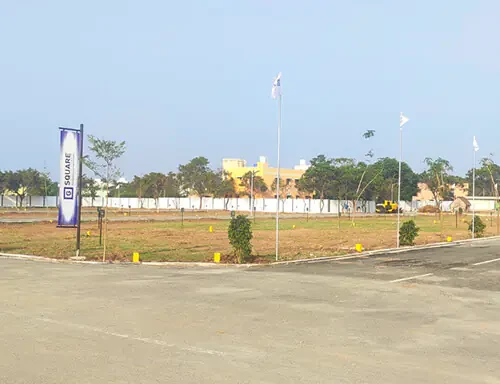 G Square Springfields