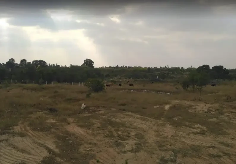Godrej Reserve