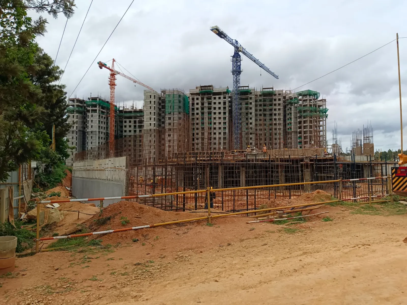 Ivory Phase 1 At Brigade Orchards