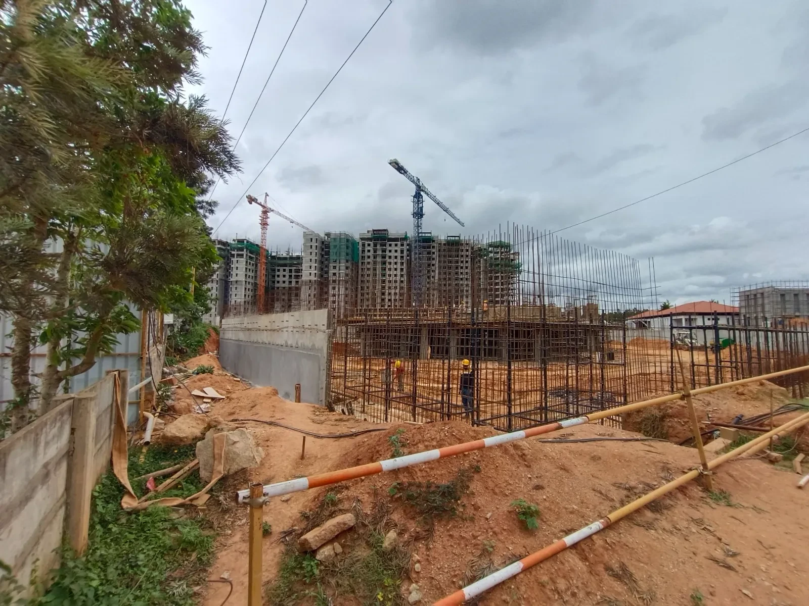 Ivory Phase 1 At Brigade Orchards