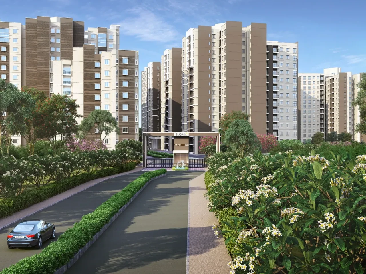 Ivory Phase 1 At Brigade Orchards