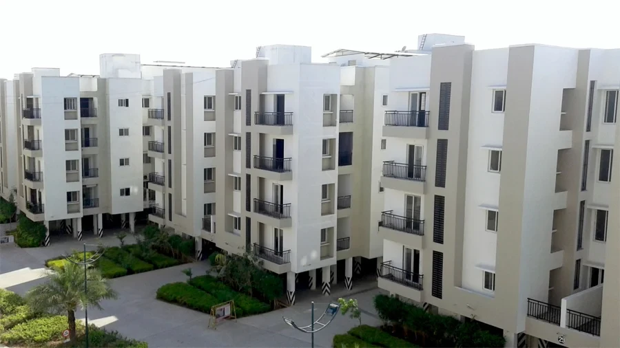 Jains Alpine Meadows