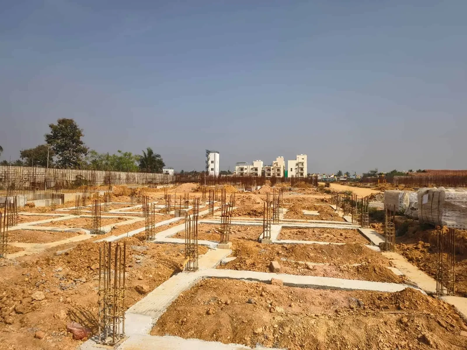 Konig Fortune County