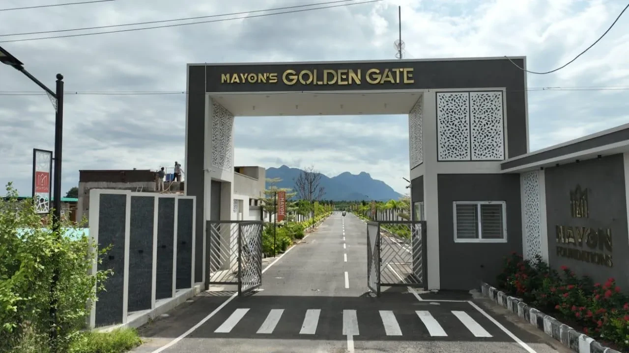 Mayons Golden Gate