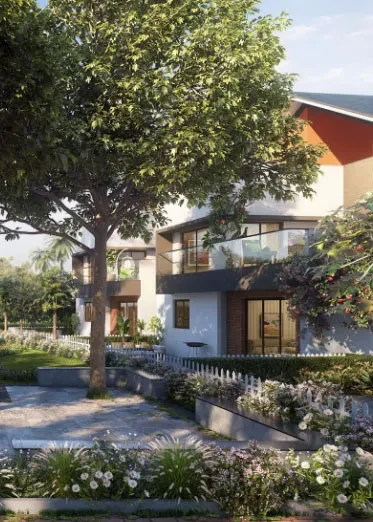 NVT Symphony of Orchards