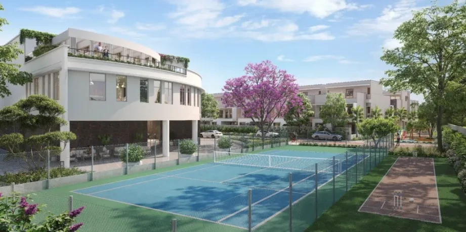 NVT Under the Open Sky