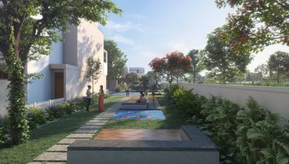 NVT Under the Open Sky