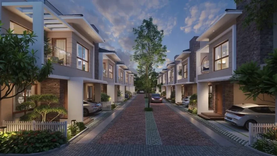 NVT Under the Open Sky