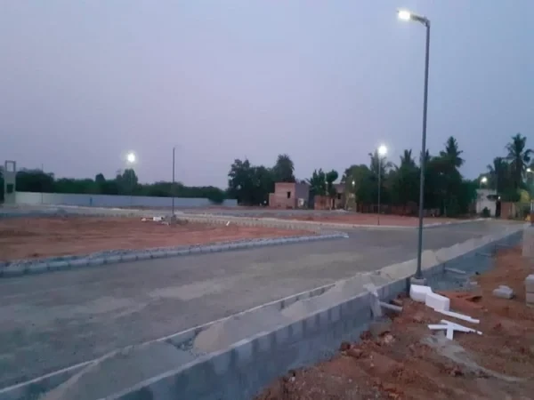 Urban Tree Pearl County-2