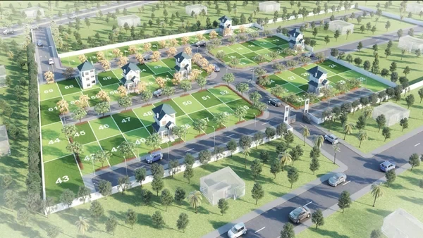 Urban Tree Pearl County-2