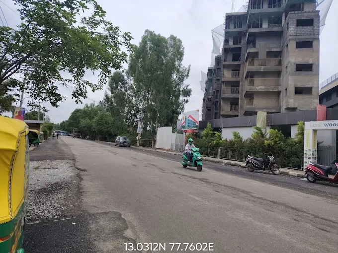 Plantinum East Woods