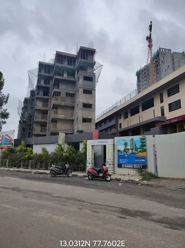 Plantinum East Woods