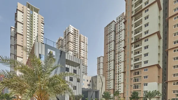 Prestige High Fields