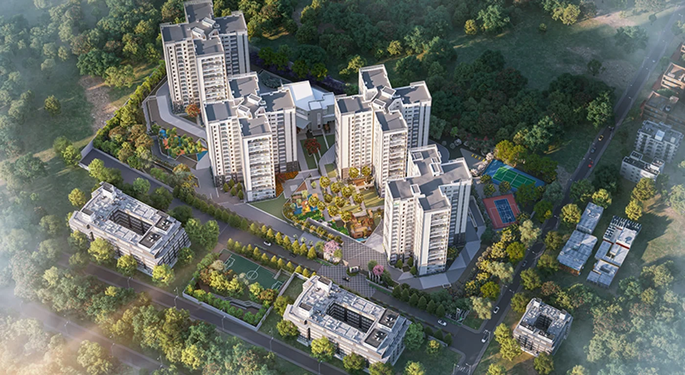 Prestige Pine Forest