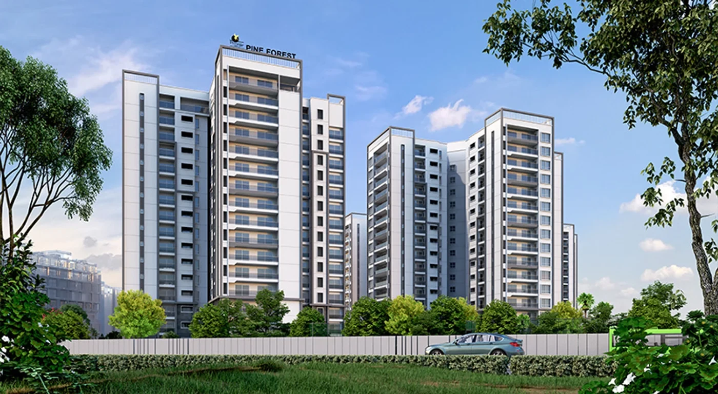 Prestige Pine Forest