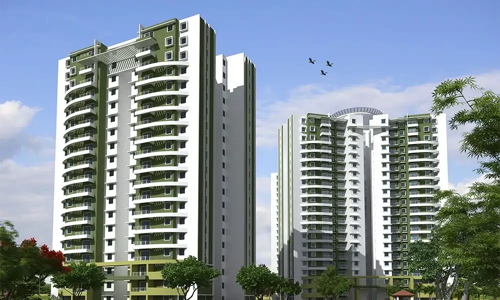 Purva Sky Wood
