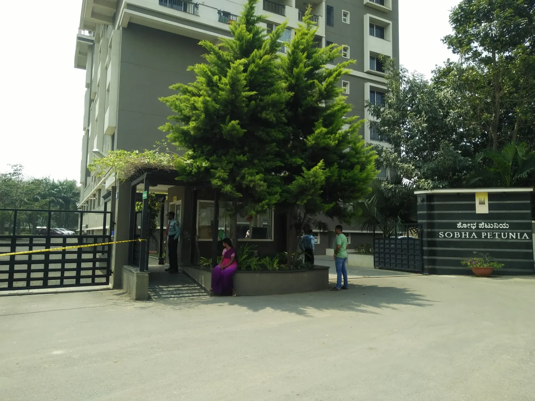 Sobha Petunia