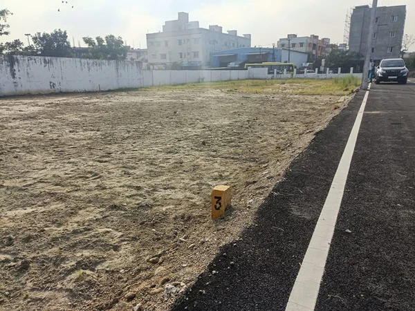 Value Reality Judges Colony