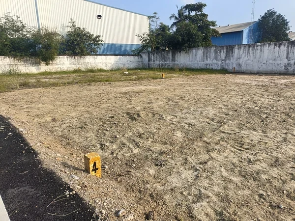 Value Reality Judges Colony