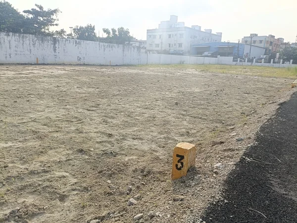 Value Reality Judges Colony