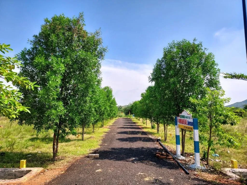 Vishwak Sri Mangal Avenue